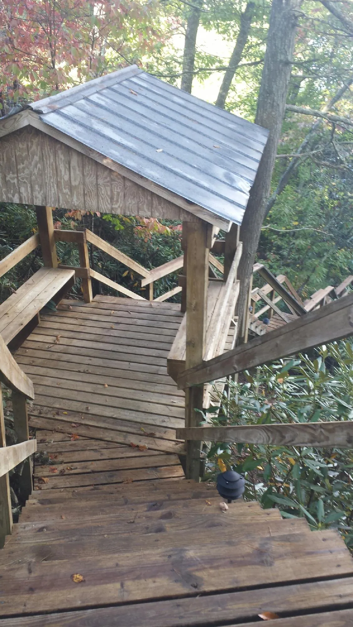 Metal roofed shelter over wooden steps on a wooded walkway in Lavonia